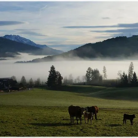 Oberbaumgarten * Flachau
