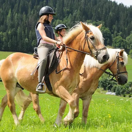 Oberbaumgarten Flachau